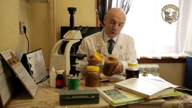Пыльцевой анализ Мёда из предгорья Алтайского Края.