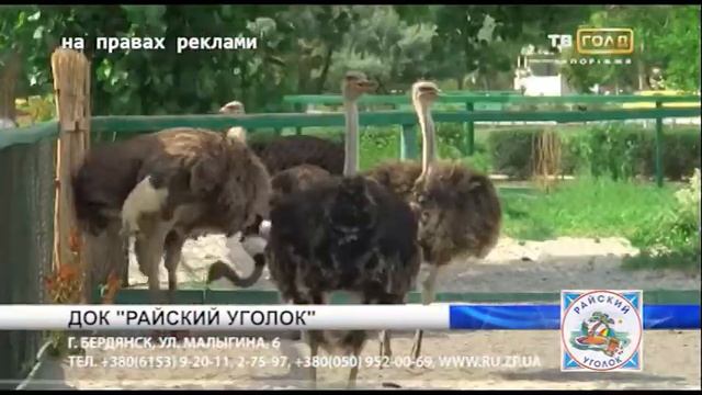 райский уголок