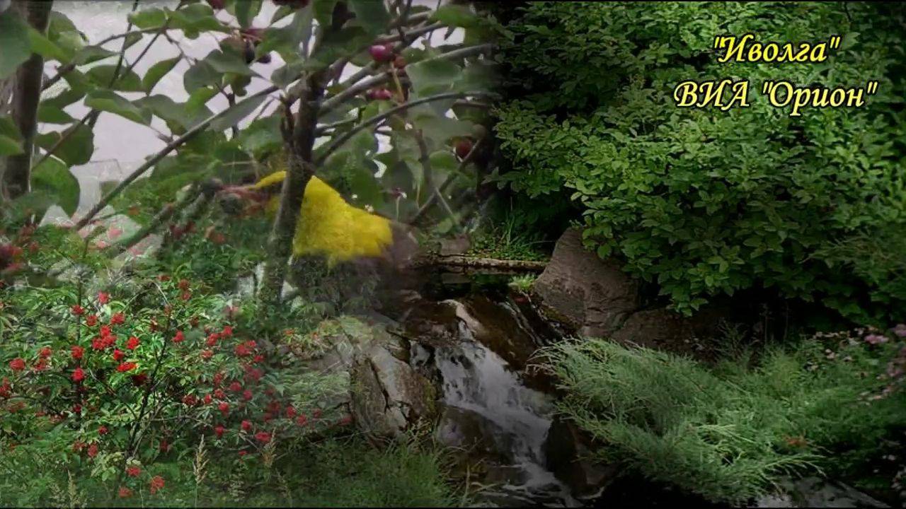Иволга ВИА Орион Иволги послышался стон