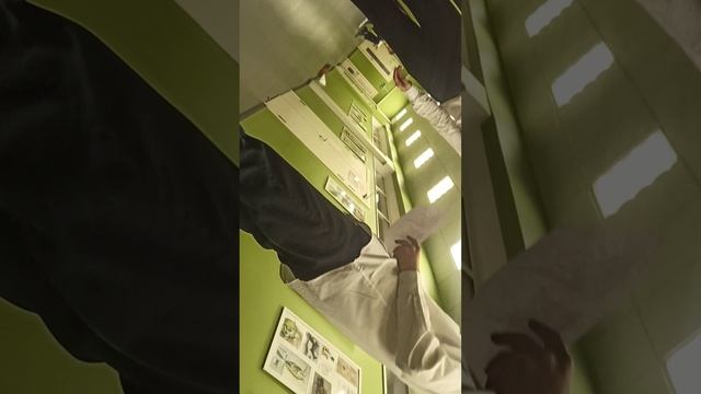VID_20250204_180003.mp4