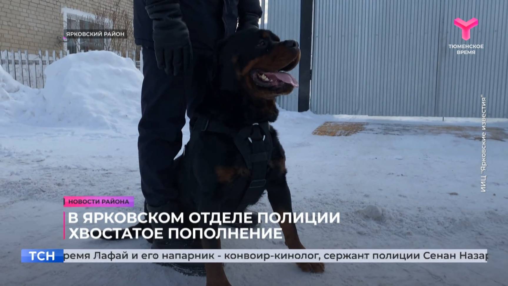 В Ярковском отделе полиции хвостатое пополнение