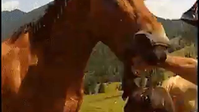 Когда коняшка - не няшка