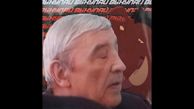Cat Fighter X HoverSan — Мир! Труд! Выкупай!