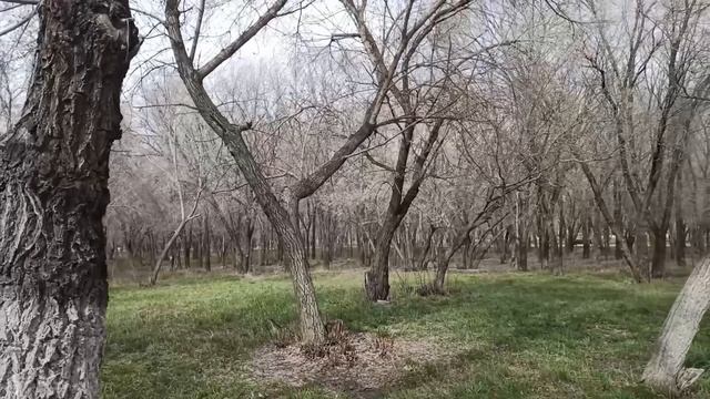 Алина, мама сказала, чтобы ты на лето переехала на дачу и смотрела за детьми сестры