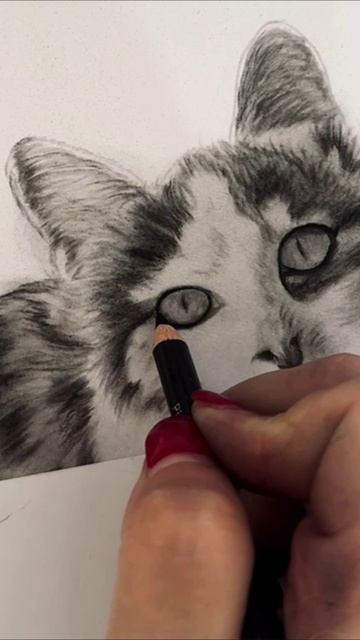Хрустальный Кот