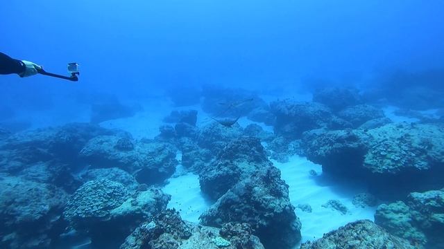 Mana Crack Scuba Diving Kaua'i Hawaii with Explore Kauai Scuba