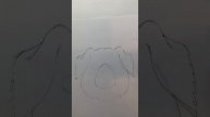 Learn to Draw Mercy Watson with Chris Van Dusen!