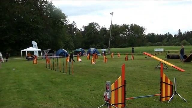 Pupa 2nd run   agility show KD Pluton 17 5 2014