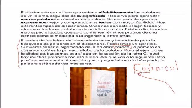 El libro de los mil y un significados clase de lenguaje 16/02/21