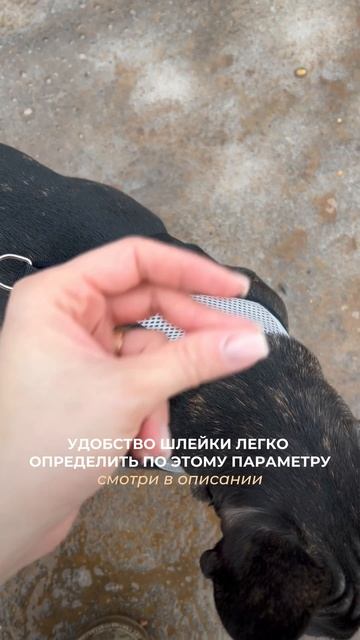 И ЭТО… МАТЕРИАЛ- СЕТКА🥅