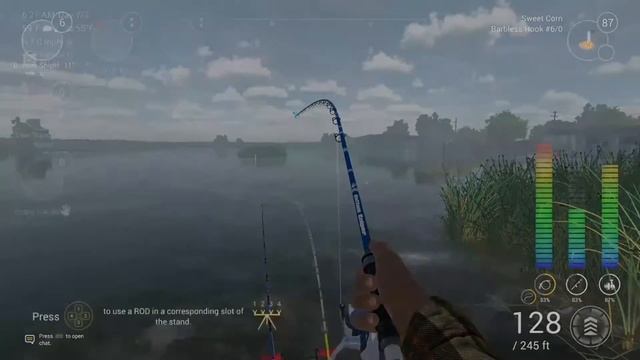 Fishing Planet: Common Carp Grinding At SAN JOAQUIN DELTA- Try These Spots