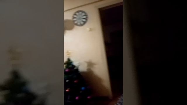 дело было вечером, делать было не чего 🤣