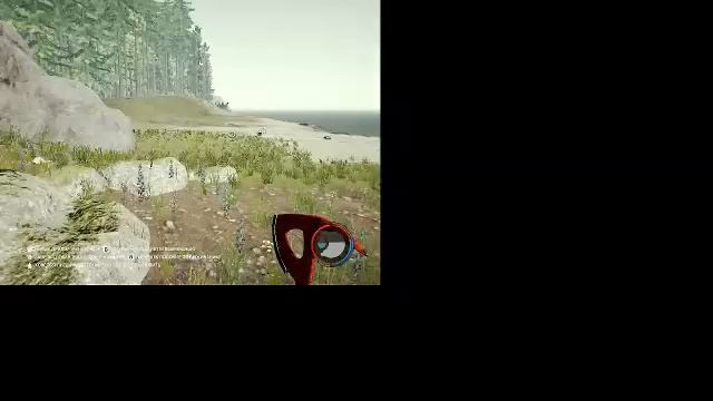 играю в форест