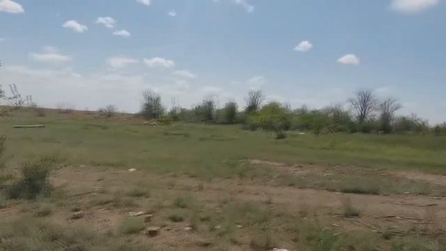 Родной край. В поисках пионерского лагеря "Солнечный"