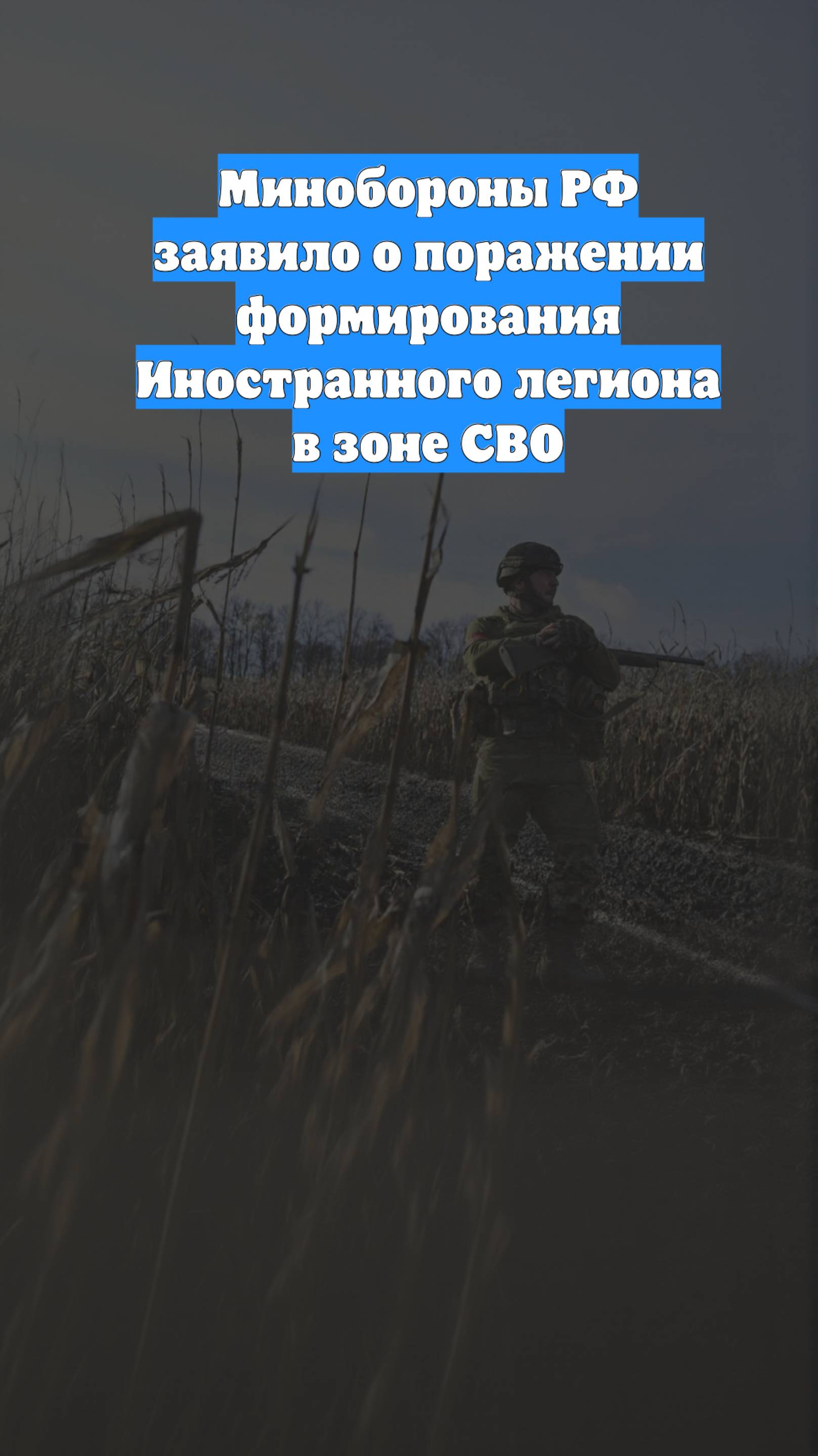 Минобороны РФ заявило о поражении формирования Иностранного легиона в зоне СВО