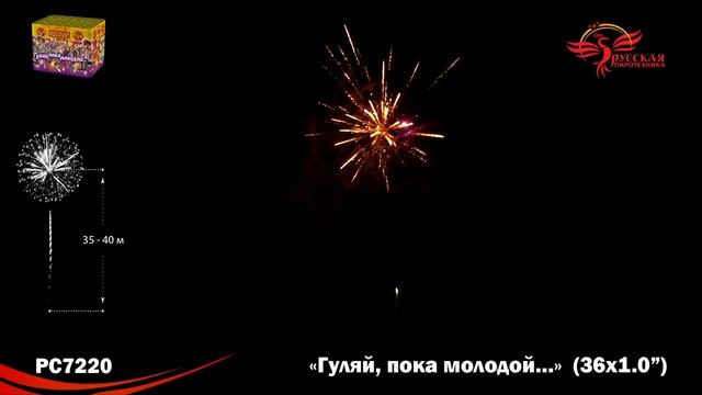 РС7220