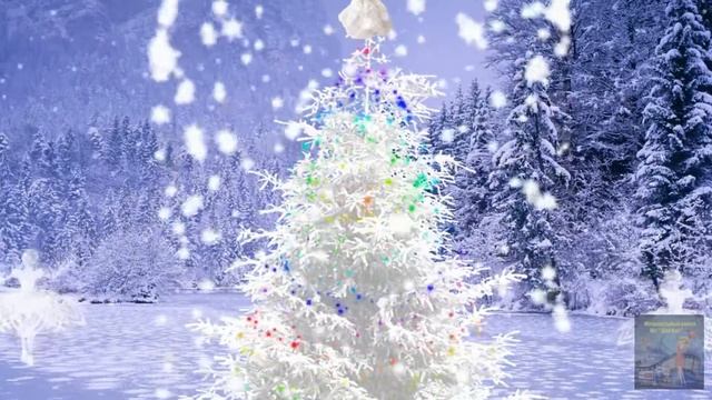 # Видеоклип  #Рождество — это время чудес. Пожелание друзьям.