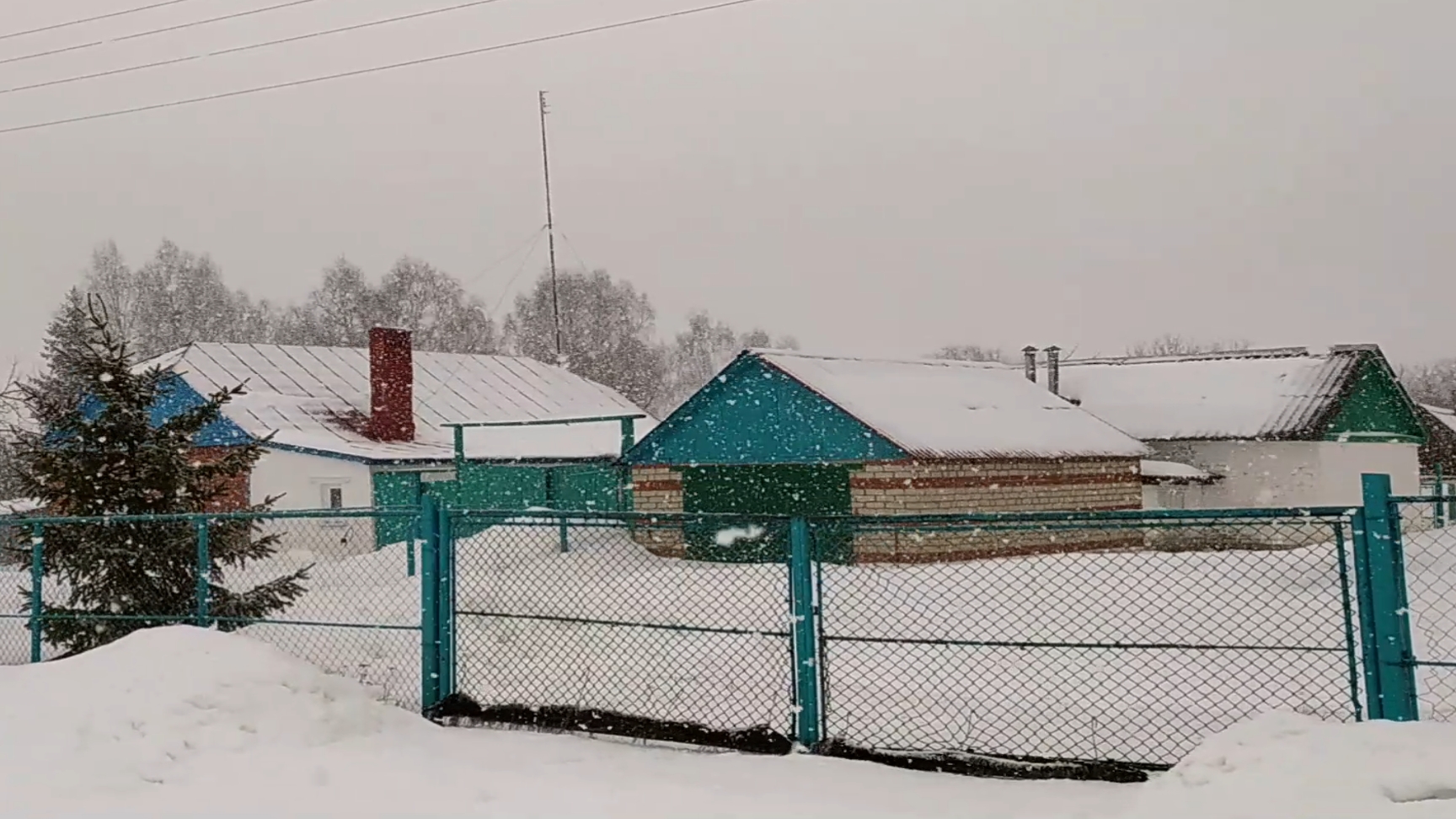 КУПИЛИ ДОМ В ДЕРЕВНЕ И ПОНЕСЛОСЬ