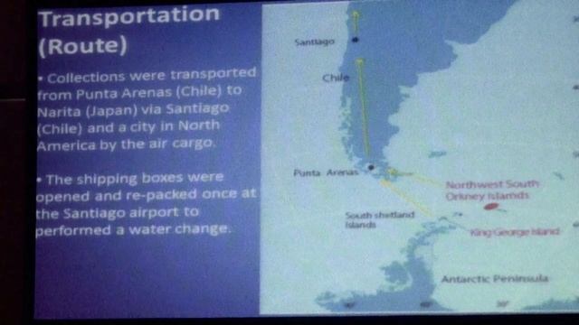 Hiroshi Nakamura Коллекция и экспонирование антарктических организмов в Токийском Sea Life Park