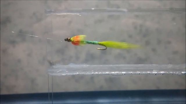 Streamer Fish Tank Swim Test - Comet Fly 1