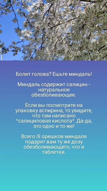 Болит голова? Ешьте миндаль! 🤗🌰🌿