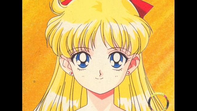 Ai no Megami no How To Love: Sailor Venus