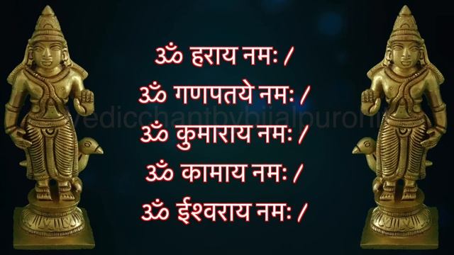 शनिदेवता 108 नामावली | Shani Dev 108 Names With Lyrics | Vedicchant By Bijal Purohit |