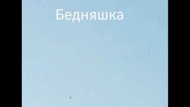 смешные #млменты#гонки без правил#роблокс