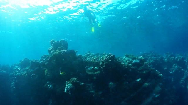 Egypt Marsa Alam 4k - 2017 Elphistone resort 4*, GoPro Hero 4 Black Edition