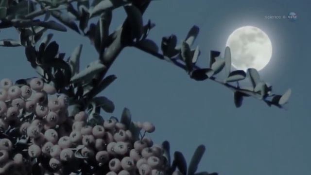 Here’s what a harvest moon actually is