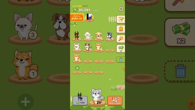 Вывода нет. Обзор PUPPY TOWN. Играем #2