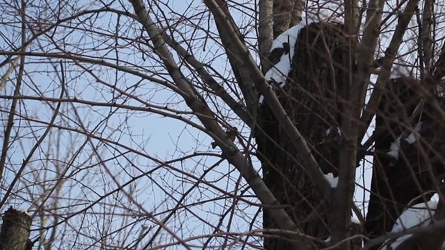 Тест объектива Сanon ef 28-80mm f2.8-4l: лучше только 24-70
