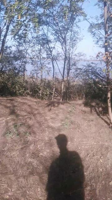 VID_20241004_144559