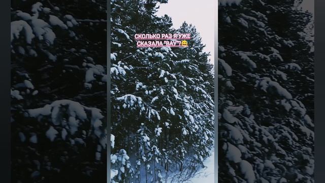 Прогулка с Авророй на санках✨Зимние забавы❄️❤️.mp4