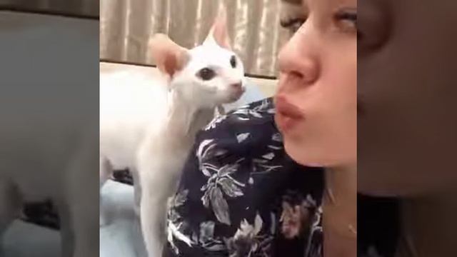 Не свисти денег не будет