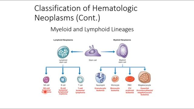 BIOL300 Week 2 Part 2 NEW