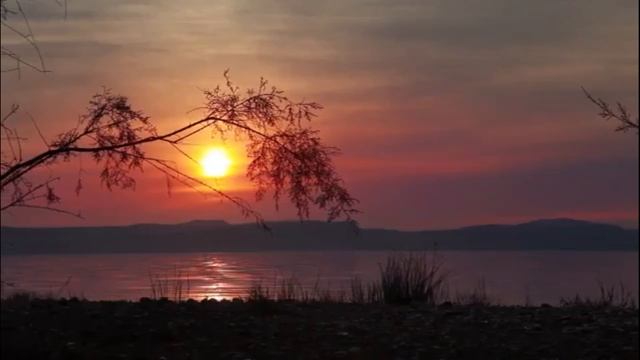 Калина красная - ст.  Виктор Михнев, музыка, аранжировка, исполнение-  Виктор Кортнев