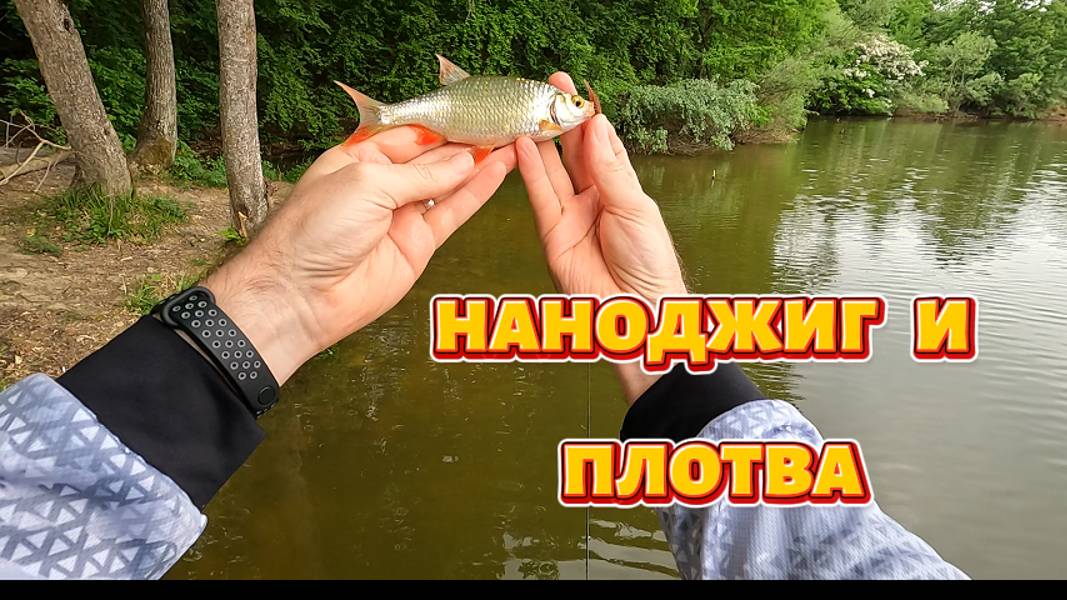 Наноджиг. Как поймать плотву.