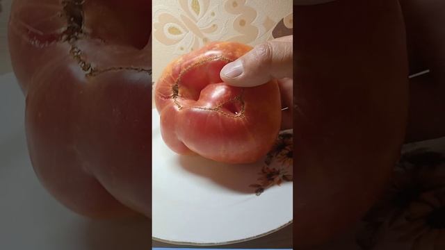 Большая радуга.
