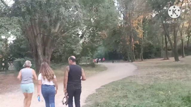Вечерний релакс🧘:прогулка по парку🏞️🐎
