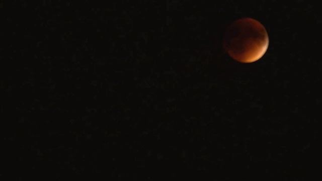 bad moon rising
