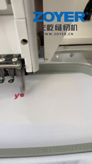 China Zoyer ZY-EM0901M Mini embroidery machine with 300*200mm working area