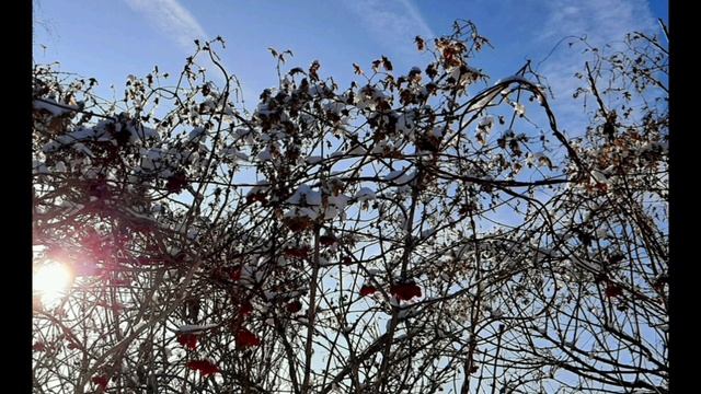 04-02-2025 утренняя прогулка по городу ...