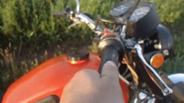 MOV00533