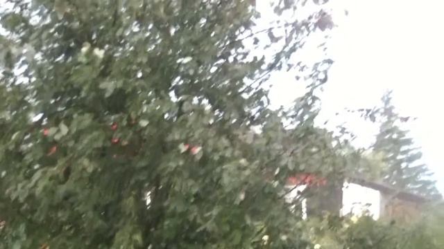 Дождь -  29.08.2017