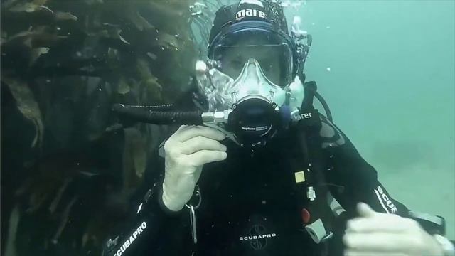 Review Ocean Reef Neptune Space GDivers Integrated Full Face Diving Mask 2022
