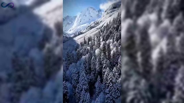 Знакомство со мной/моей работой ✨