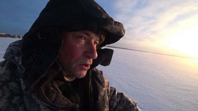Репино. Рыбалка 04.02.25.