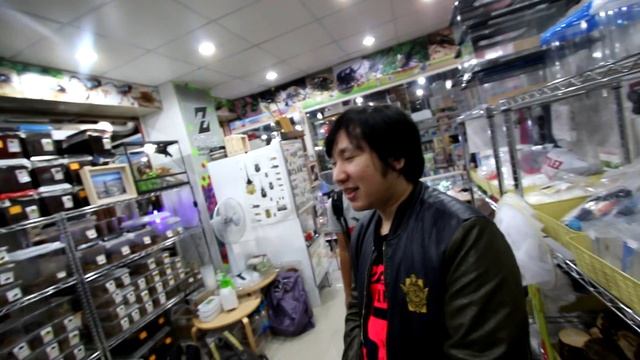 Beetlez Shop - JJMall - Chatuckak - Bangkok  2015