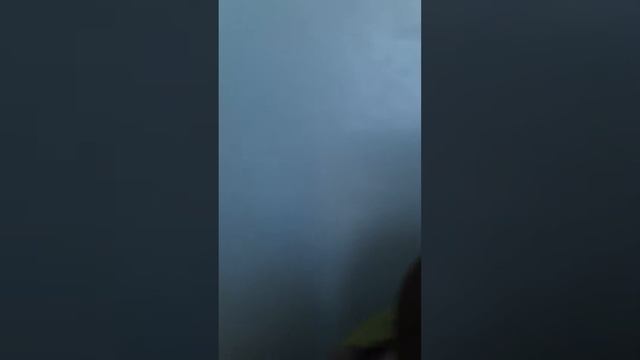 4-5 часов ожидания! Очередь на прием к терапевту. НА УЛИЦЕ!!!